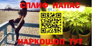 прущие грибы Сланцы