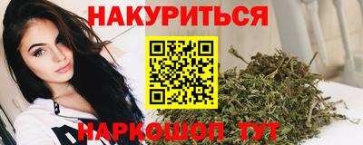 прущие грибы Сланцы